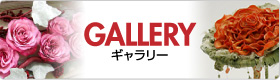 ギャラリー